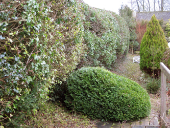 muddy boots landscaping picture Grounds and Garden Maintenance